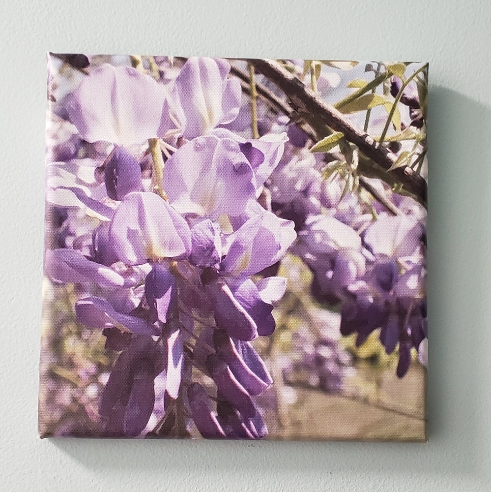 Wysteria photo printed on canvas
